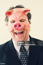 Business Man Pig Mask Stock Photo