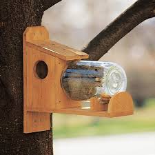 Maybe you would like to learn more about one of these? How To Make A Squirrel Feeder Diy Family Handyman