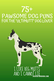 75 Pawsome Dog Puns For The Ultimutt Dog Lover Dog Puns Clever Dog Names Clever Dog