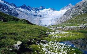 Find best switzerland wallpaper and ideas by device, resolution, and quality (hd, 4k) from a curated website list. Switzerland Wallpaper 26958 2880x1800px