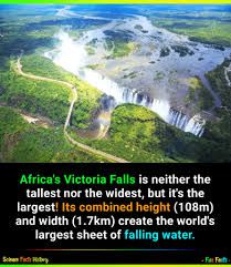 Image result for Zygotritonia atropurpurea