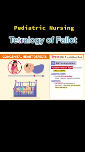 Image result for Tet Spell