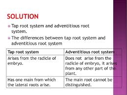 Knowledge Area Life Processes In Plants And Animals Ppt Download