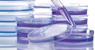 Just a few weeks after starting in the top job at cancer research uk, michelle mitchell tells kirsty weakley what's on her agenda. About Cancer Research Uk Race For Life Cancer Research Uk