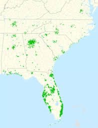 The easiest way to give. Publix Wikipedia