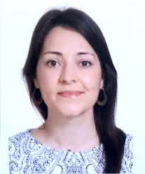 Perfil (CV) del personal docente investigador