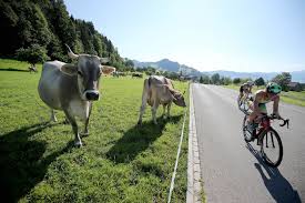 Mancano ormai poco più di due settimane all'ironman 70.3 rapperswil che registra un nuovo sold out di partecipazione. Ironman 70 3 Switzerland Rapperswil Jona 2019 Teilnehmerfeld So Stark Wie Noch Nie