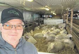 Une éclipse qui fait rugir les lions