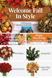 Flowers Online Flower Delivery Send Flowers Proflowers Online Flower Delivery Flower Delivery Proflowers