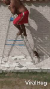 Fall Off Ladder Gifs Tenor