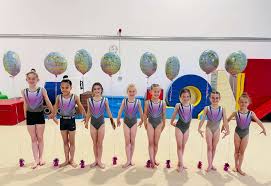 KD gymnasts soar to success