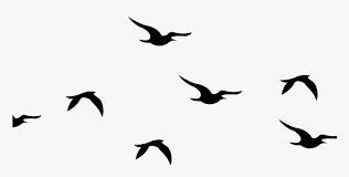 Flying Birds Silhouette Png Clipart Png Download Flying Silhouette Bird Clipart Transparent Png Is Fre Flying Bird Silhouette Bird Silhouette Bird Clipart