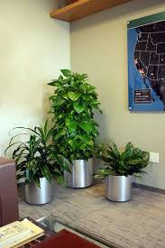 40 Creative And Fresh Office Plant Decoration Ideas Plant Decor Office Plants Living Room Plants