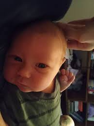 Someday I'll be able to take higher quality pics but pictures never do  anything the right amount of justice anyways. Pecan pie! Got pie crust DOWN!