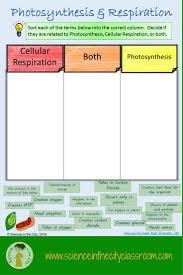 How To Clarify Photosynthesis Cellular Respiration A Free Foldable Photosynthesis And Cellular Respiration Photosynthesis Cellular Respiration