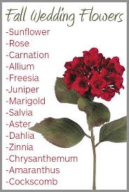 Perfect for an outdoor fall wedding, this bouquet features an assortment of wildflowers, roses, lilies, wallflowers, and hypericum berries in pretty autumn these substantial flowers last about two weeks after cutting and easily stand up to tousling. When Are Your Dream Wedding Flowers In Season Wedding Flowers Fall Wedding Fall Wedding Flowers