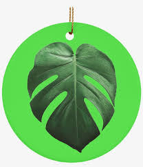 Monstera Deliciosa Ceramic Tropical Leaf Ornament Swiss Cheese Plant Transparent Png 1024x1024 Free Download On Nicepng Click and drag to rotate.
