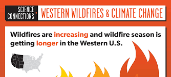 It creates more usable space for growth. Pros And Cons Of Forest Fires Hrf