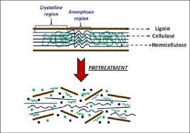 These variations affect the severity of the pretreatment and the biomass composition during biomass degradation 21. 12 Pretreatment Of Lignocellulosic Biomass Timilsena 2012 Download Scientific Diagram