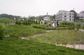 Universite Feminine Ewha Le Jardin Avec Images Universite Campus Universitaire Feminin