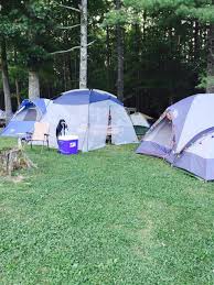 Designated us 129, the road is bordered by the great smoky mountains and the cherokee national forest with no intersecting roads or driveways to hamper your travel. Our Policies Raccoon Holler Campground