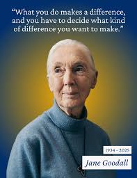 Meet Nicole Paul, a 2nd year MDP student who is currently serving as an  Innovation for Development Intern with the Economic Cooperation and  Development (OECD) organization — a forum of 100+ countries