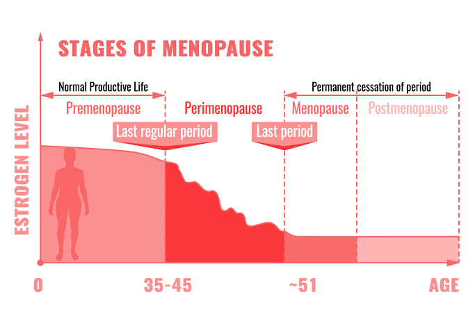 Estrogen levels across stages of menopause, AI generated
