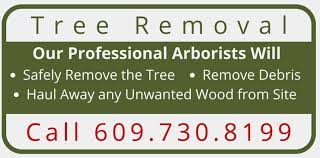 They were respectful, kind, efficient, and affordable. Tree Removal Tree Removal Tree Services Mercer County Nj Hunterdon County Nj Bucks County Patree Removal Tree Services Mercer County Nj Hunterdon County Nj Bucks County Pa