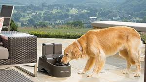 But dog water fountains vary just as much as dogs do. 5 Best Dog Water Fountains Outdoor Dog World