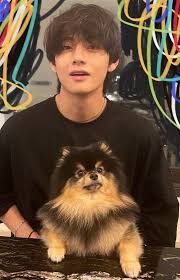 Tae Tae Yeontan In 2020 Bts Dogs Bts Taehyung Bts Jungkook