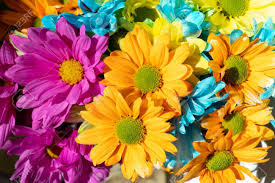 Check spelling or type a new query. Spring Summer Flower Bouquet Of Daisies In Blue Purple Pink Orange Yellow Makes A Good Background Stock Photo Picture And Royalty Free Image Image 118769388