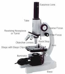 Maybe you would like to learn more about one of these? Microscope Parts Specifications Microscope World Resources