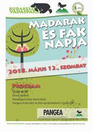 A plakátnak fel kell hívnia a figyelmet egy olyan problémára, meg kell győznie egy olyan megoldásról, avagy hirdetnie kell egy olyan akciót, amely a madarak és fák városi környezetvédelemben betöltött szerepével kapcsolatos! Programok A Madarak Es Fak Napja Alkalmabol Turizmus Com