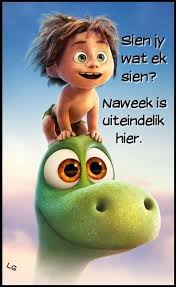 Pin By Petra Brewis On Afrikaans Grumpy Cat Humor Afrikaanse Quotes Afrikaans Quotes