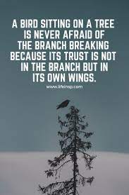 Pin On Amazing Quotes