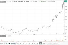 259 Marijuana Stocks Horizons Marijuana Life Sciences Index