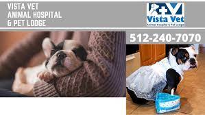 We did not find results for: Vista Vet Animal Hospital Pet Lodge Home Facebook