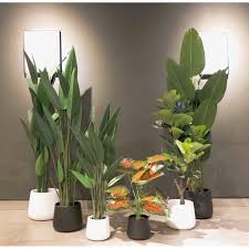Maybe you would like to learn more about one of these? Ready Stock Pasu Pokok Bunga Plastik Hiasan Rumah Hiasan Pejabat Shopee Malaysia