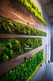 Check spelling or type a new query. Wholesale Preserved Moss Panel Artificial Moss Ledge Grass Mat Lawn Rug On Sale2 Buy Artificial Moss Lawn Synthetic Green Wall Design Moss Wall Moss Wall Art