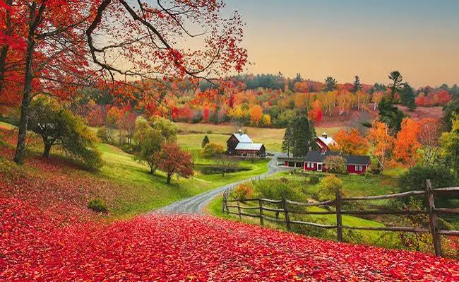 Fall Equinox 2026: When Is the First Day of Fall?