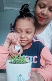 Go green with Pot and Bloom's plant gifting