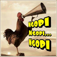 Ngopi Lucu Gambar Lucu Foto Lucu