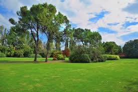 The Famous Garden Park Sigurta In Italy The Bright Green Grassy
