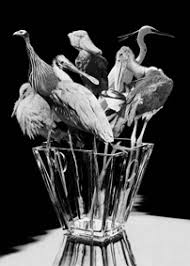 Bildergebnis für Florian Baudrexel & Jens Ullrich