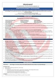 Area Sales Manager Sample Resumes Download Resume Format Templates