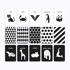 Black And White Flash Cards For Babies Flash Cards Black And White For Infants 15 Cards Animal Letter Visual 4 X6 10cm X 15cm Designed For 0 6 Months Kids Babie Animal Letters Flashcards Infant
