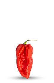 Does red devil have a facebook page? Back Soon Red Devil S Tongue Pepper Seeds