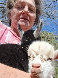 Miss Josey had 3 kids. All good and eating. Now waiting