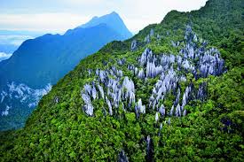 We did not find results for: Gunung Mulu National Park Outstanding Natural Beauty Going Places By Malaysia Airlines