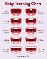 Image result for Teething